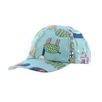 Casquettes